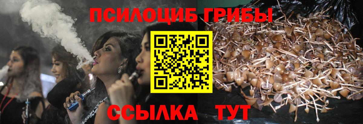 Псилоцибиновые грибы ЛСД  Вход с VPN  Ступино  Псилоцибиновые грибы Magic Shrooms 